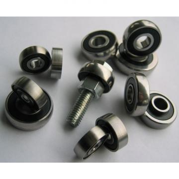 BR202816 Needle Roller Bearing